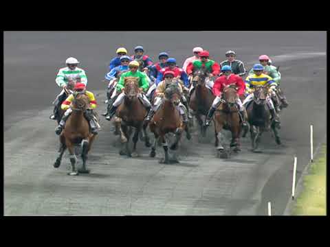 PRIX DU PRESIDENT DE LA REPUBLIQUE 2004 - MIGRAINE