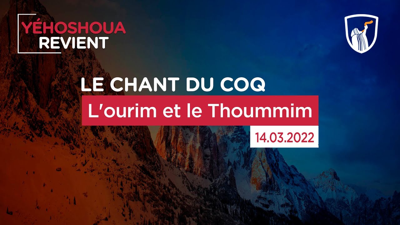 Thumbnail of video: L'ourim et le Thoummim