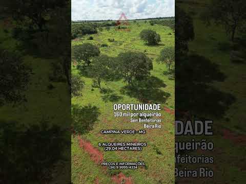 Fazenda na beira do rio sem benfeitorias com preço de oportunidade em Campina Verde MG