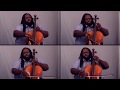 Arrival of the Birds - The Cinematic Orchestra (Cello Cover)