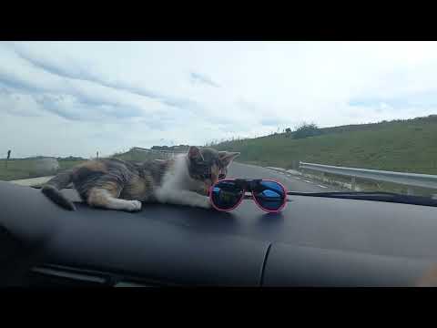 Drumul Alamor Armeni 1.10.2022