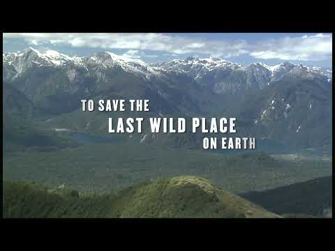 Trailer frame: cliffside view into a Patagonian valley, echoing the soundtrack’s spaciousness