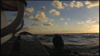 Video 11