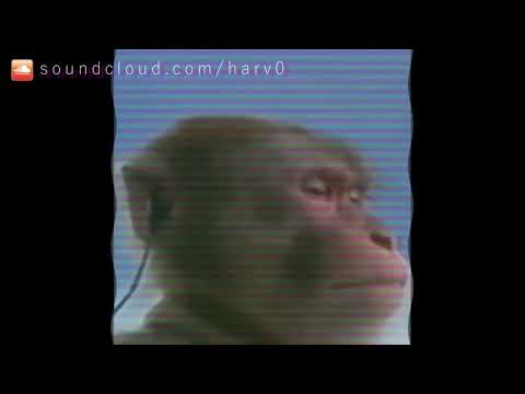 Monkey Type Beat 1 HOUR LOOP