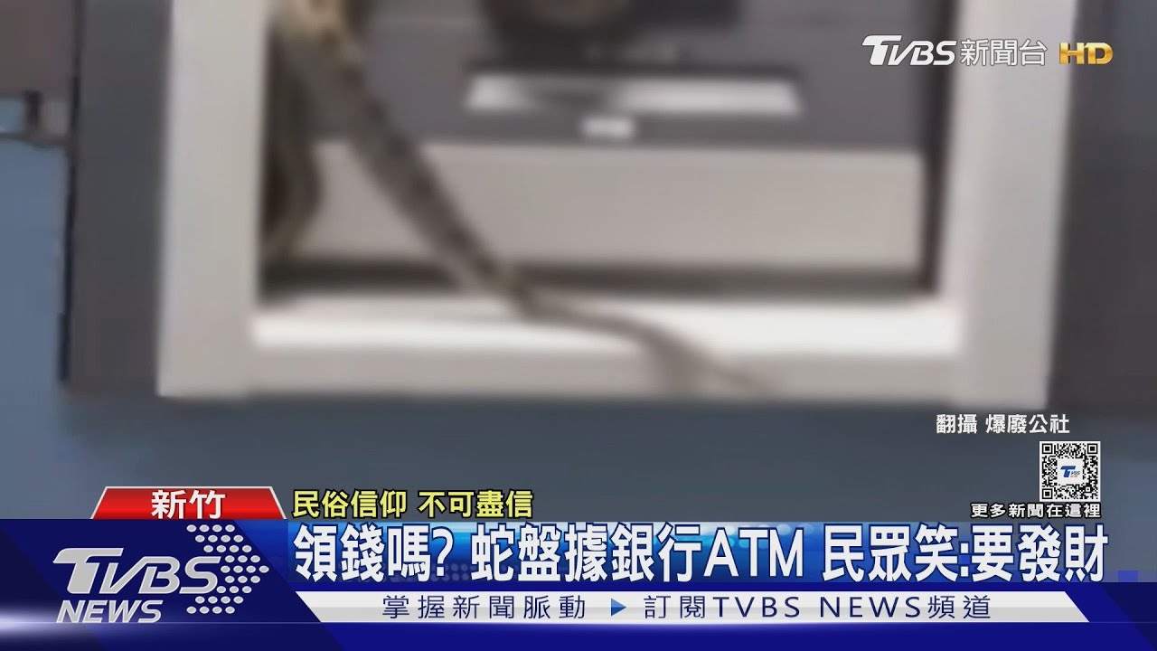 領錢嗎?巨蛇盤據銀行ATM 民眾笑:要發財