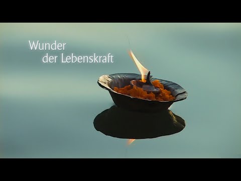 Wunder der Lebenskraft - der Film über die Erweckung der Kundalini-Kraft