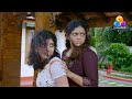 Chakkappazham Flowers Ep 21