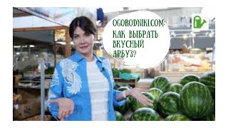 Как выбрать арбуз? Лайфхаки и на что обратить внимание при выборе арбуза.