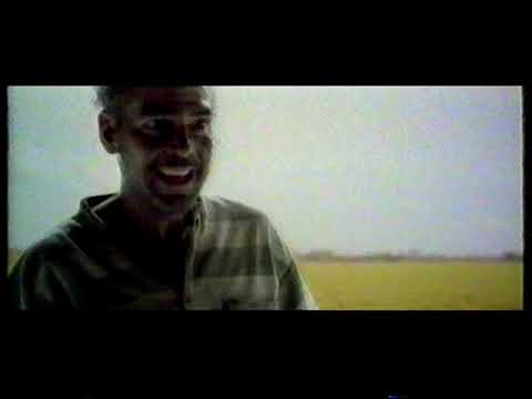 O Brother! (Trailer Teaser castellano)