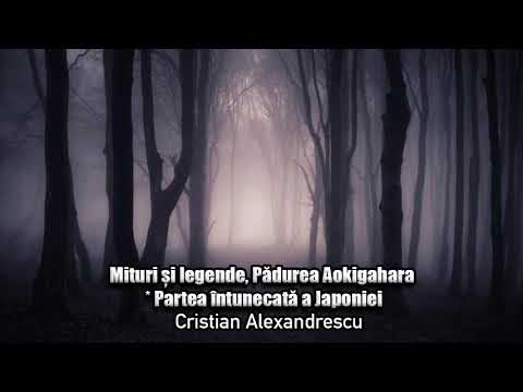 Mituri Si Legende, Padurea Aokigahara * Partea Intunecata A Japoniei
