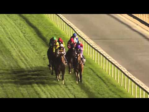 Postponed by Dubawi wins the G1 Dubai Sheema Classic at Meydan