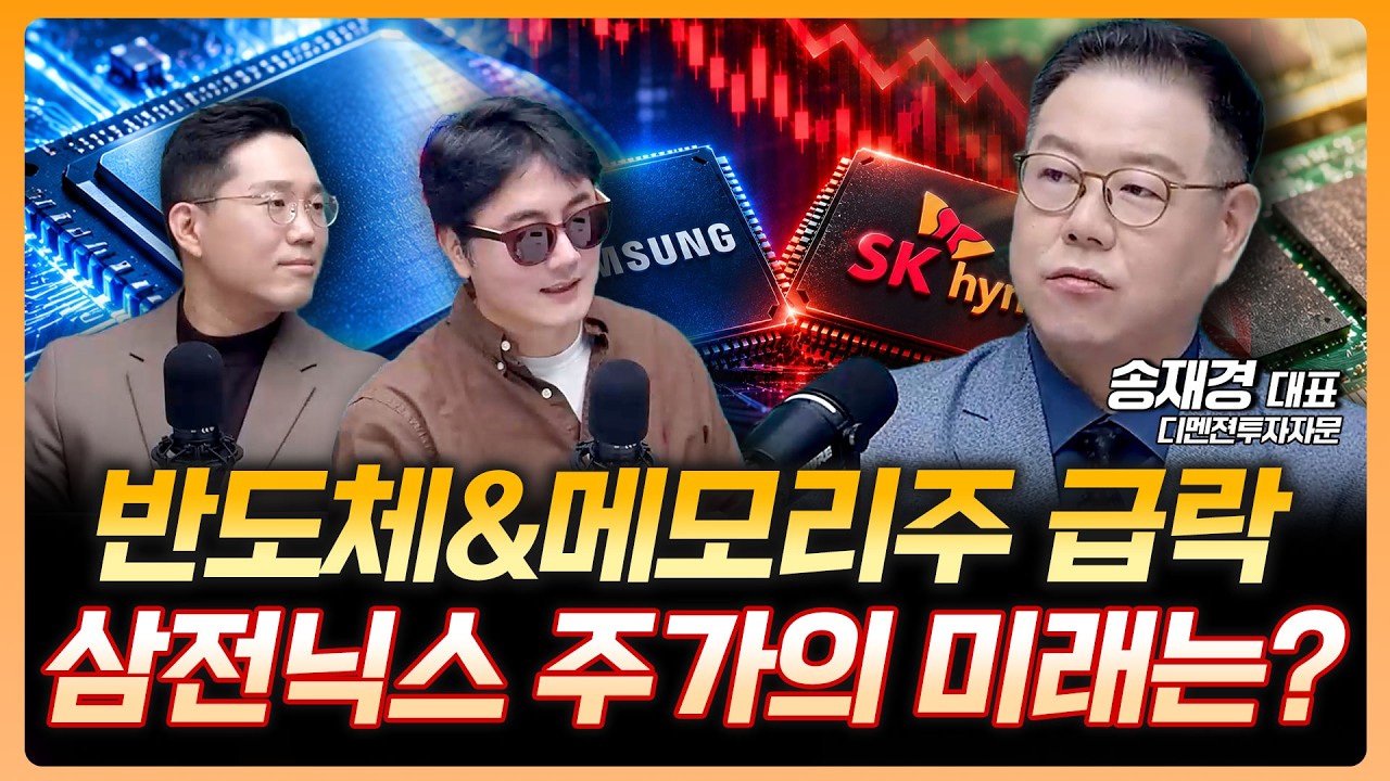 반도체주와 메모리주 급락...삼성전자와 SK하이닉스의 주가엔 어떤 영향이?ㅣ송재경 디멘젼투자자문 대표