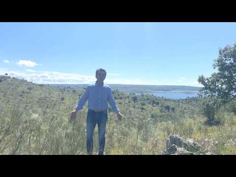Victorino Martín: Los Añojos
