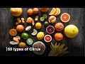 Citrus 69 Types Of Citrus Found Globally