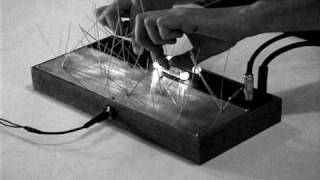 Video thumbnail for Folktek Luminist Garden Video 3 by Folktek
