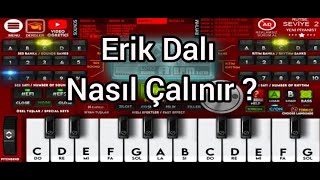 R-Org Premium Erik Dalı Nasıl Çalınır ?