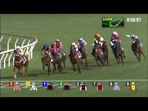 10/3/2021 (497) Shouson - Matthew Poon