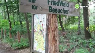 Planitzwald und Lost Places ⚔️ ⛫ 19 August 2021