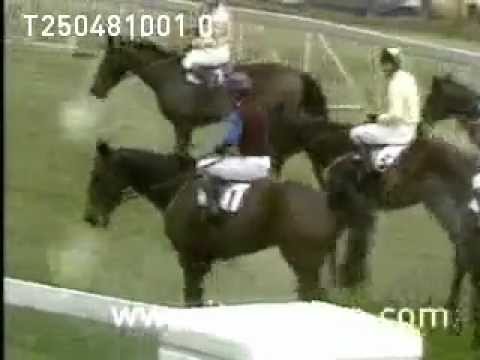 Diamond Edge wins the 1981 Whitbread Gold Cup
