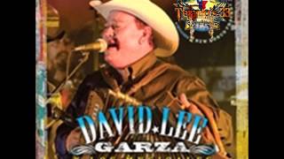 David Lee Garza Y Los Musicales   Una Noche Mas Live