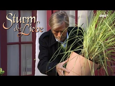 Paul versucht Werner umzubringen - Sturm der Liebe - Spannende Momente