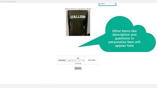 BridgePay Online Store Tutorial