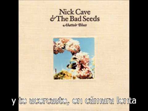 Nick Cave and The Bad Seeds Nature Boy Subtitulado español