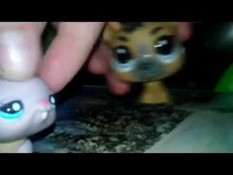 Cadourile de la ziua mea ! ( 13.4.2014 Duminica )