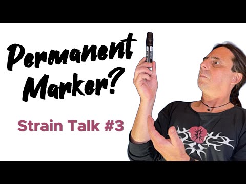 From Afghani to Zkittlez - What's the crowd smoking? | Strain Talk Part 3