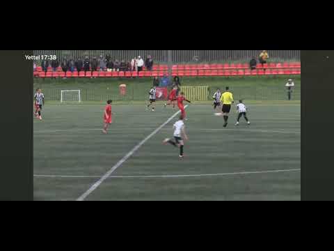 Video-Miniaturansicht