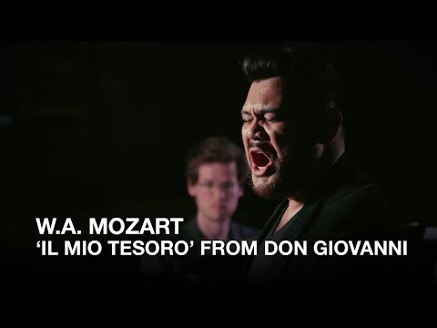 W. A. Mozart: 'Il mio tesoro' from Don Giovanni, sung by Charles Sy