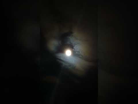 #annularsolareclipse #shorts