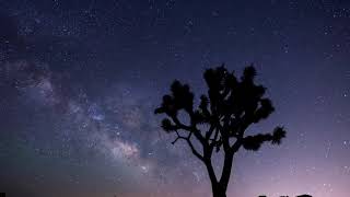 Shihad - Spacing, Original video ? No. taken from their 1999 Album The General Electric