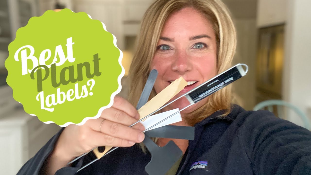 Trying out plant labels: What works best?