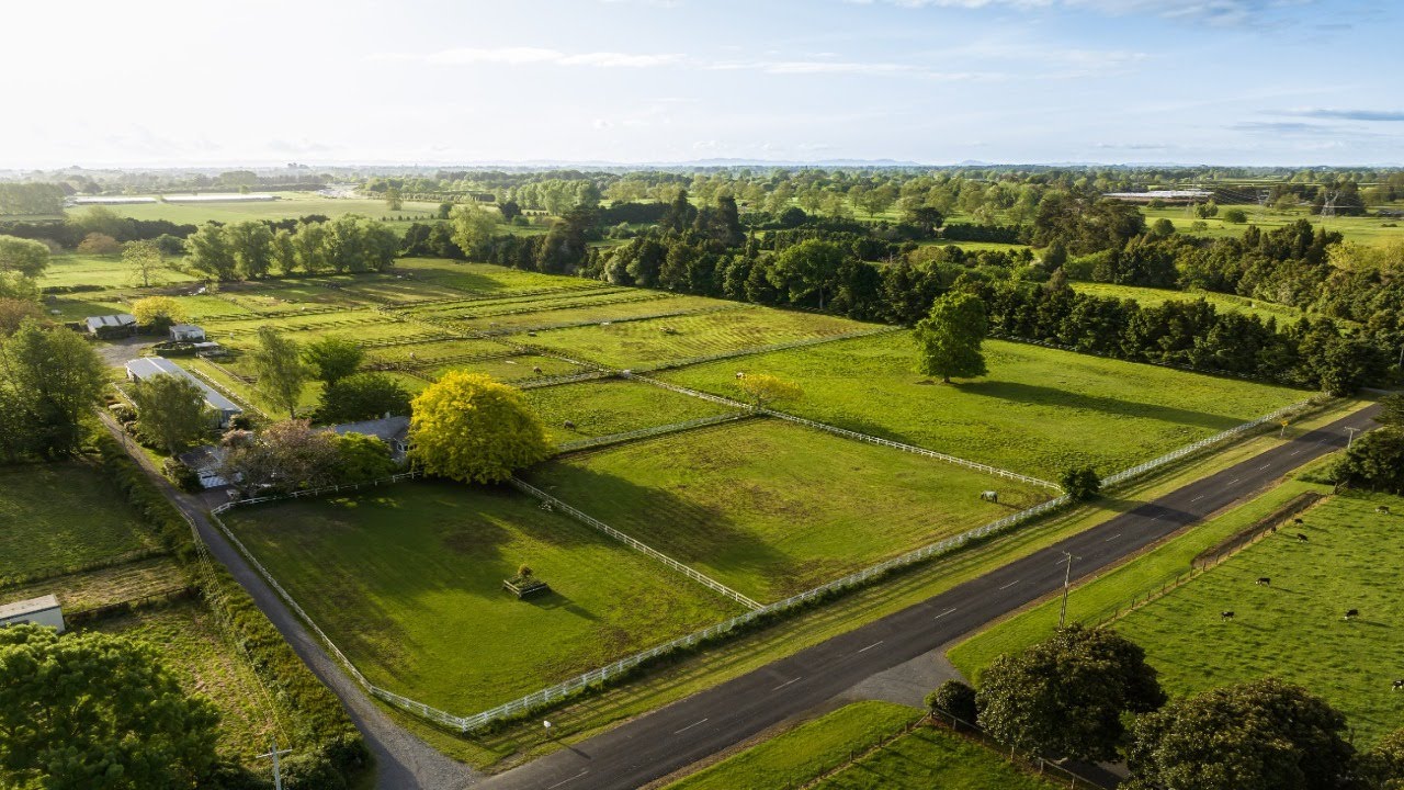 Horses, Calf Rearing, Large Land