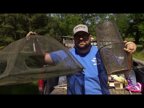 Which Bait Trap Will Catch Better