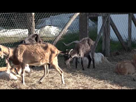 Naša priča 19.10.2018. NAJAVA