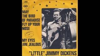 Little Jimmy Dickens - May The Bird Of Paradise Fly Up Your Nose 1965 HQ