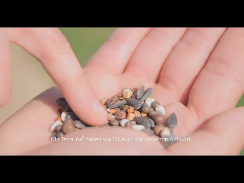 Der Boden im Fokus: Zwischenfrüchte nicht einfach auf den Acker werfen!