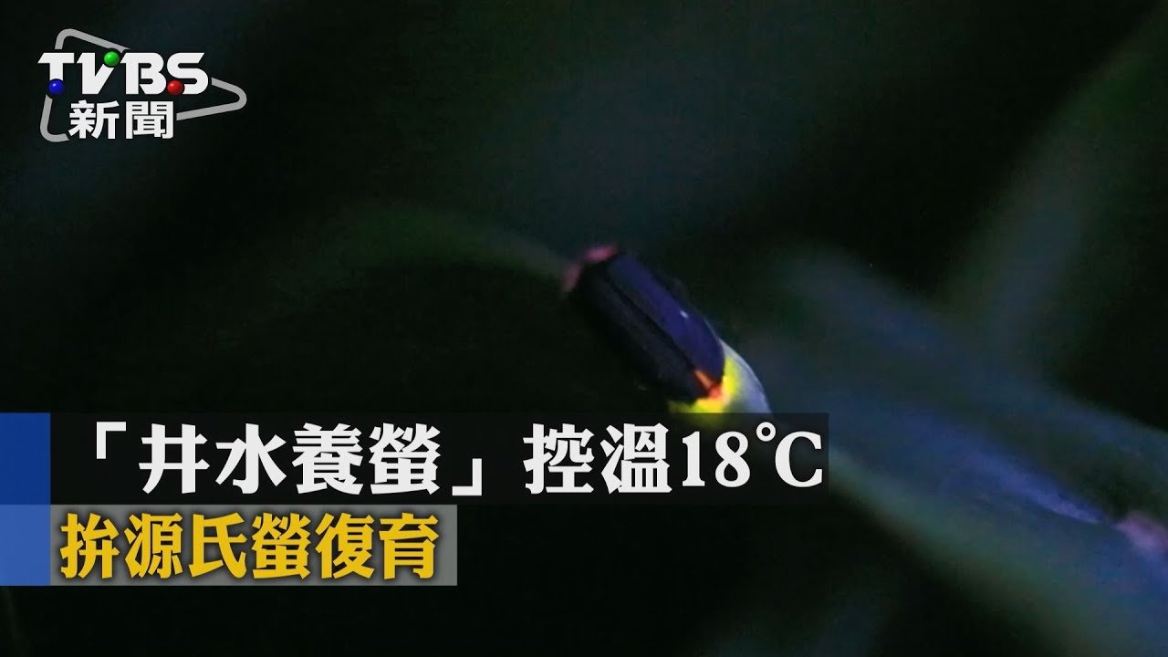 日螢火蟲復育/焚化爐發電養螢 澀谷環保基地曝光