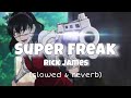 Rick James Super Freak Slowed Reverb Tiktok Song