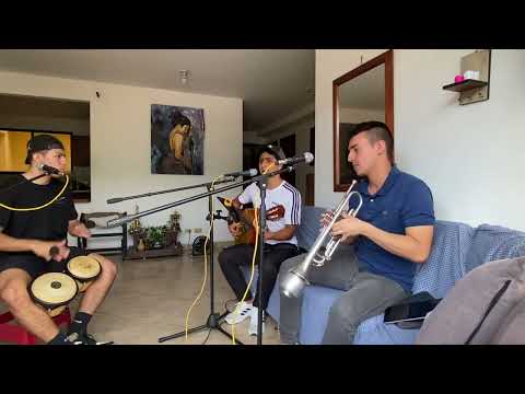 Cómo abeja al panal, versión acústica Son Matanza