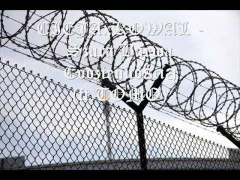 CIEJA RDPxKOWAL - Szara Barwa Codziennością (ft.TOMO)