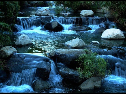 T'appartengo, Signor!