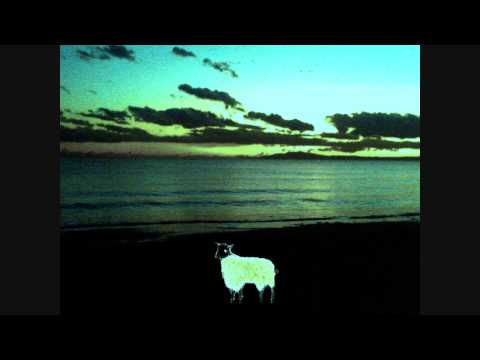 Souseki Natsume   "Kokoro"   Acid Sugar Cublic  CUTNOVEL   English