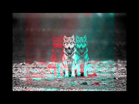 Said Bocanegra  | Progressive Night Sessions 19