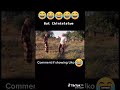 Chintelelwe