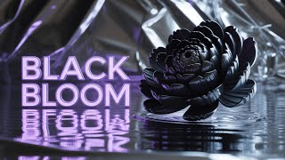 379|Ultimate Black 3D Bloom Experiment:  Stunning Results!