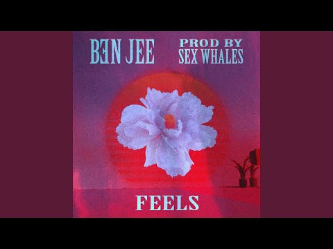 FEELS (Prod. Sex Whales)