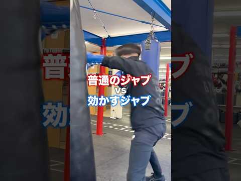 【※そのジャブ、効いてません。】元日本ランカーが教える効かすジャブの秘密🥊 #ボクシング #格闘技 #スポーツ #shorts #ジャブ